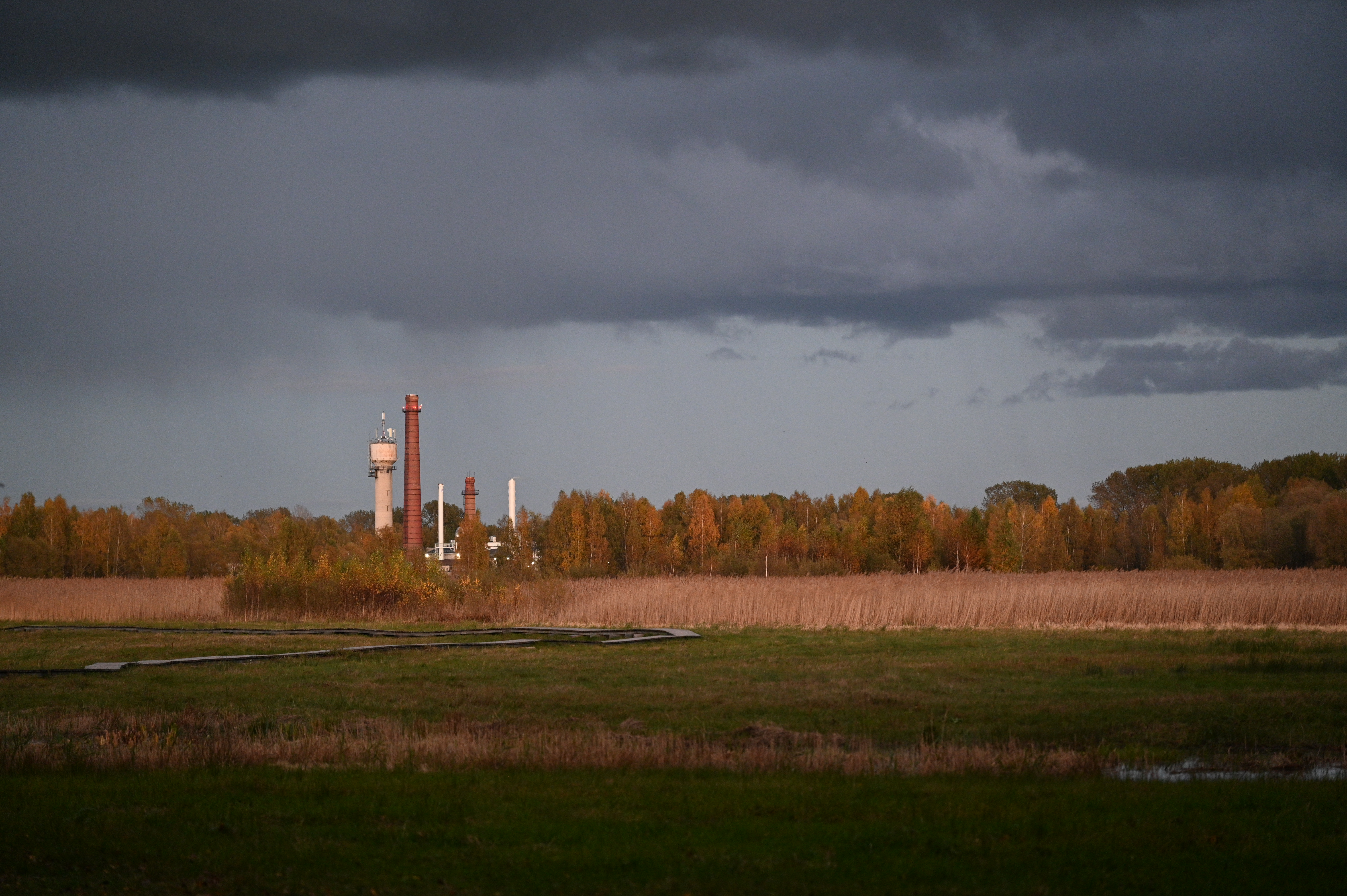 2025/10/18 - walk/DSC_0588.JPG